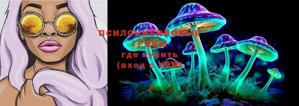 a pvp Магас