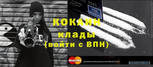 тгк Лиски