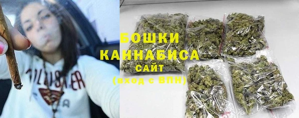тгк Лиски