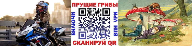 Галлюциногенные грибы MAGIC MUSHROOMS blacksprut ссылки Красноярск