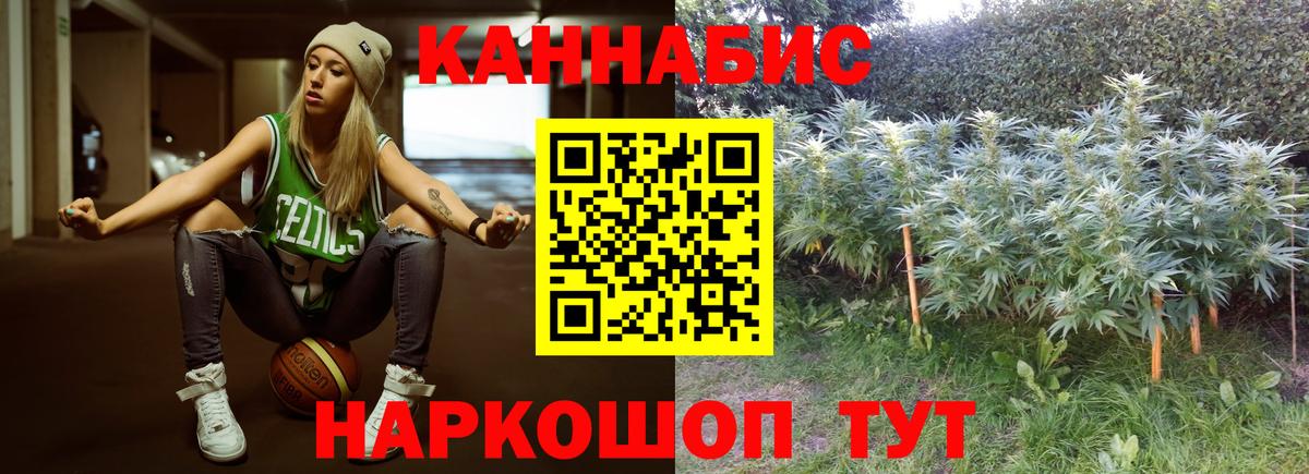 Конопля Bruce Banner Красноярск